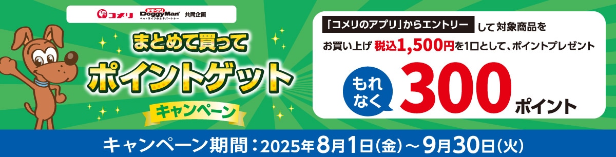 ドギーマンハヤシ　まとめて買ってポイントゲットキャンペーン