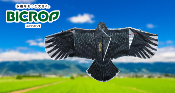 「BICROP　キラキラ鳥追いカイト鷹」を発売開始！