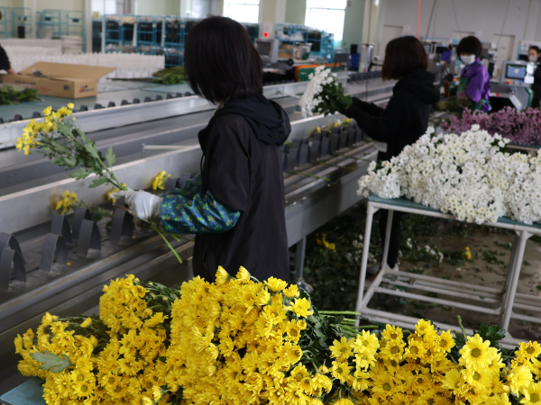 FMC（フレッシュマネジメントセンター）