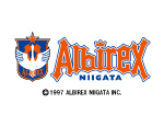 新潟アルビレックス・サッカー