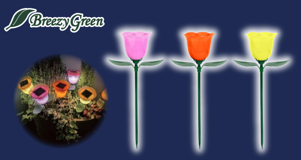 「Breezy Green ソーラーローズライト」が登場！