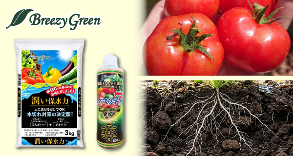 「Breezy Green 潤い保水力」が新登場！