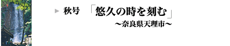 HFIv̎ށbޗǌVs