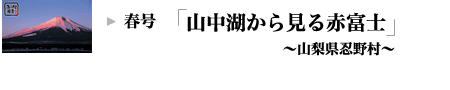 tFR΂猩ԕxmbRE쑺