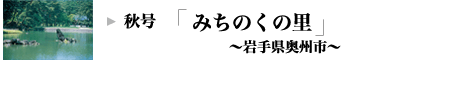 HF݂̗̂b茧Bs