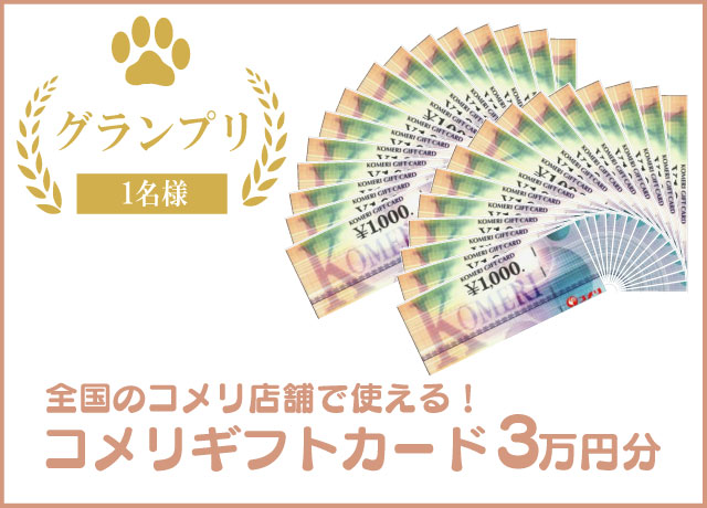 コメリギフトカード3万円分sp