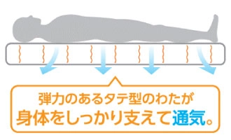 縦成形型綿で体を支える新作敷布団が登場。