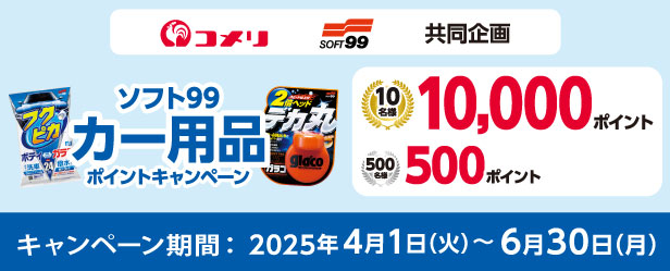 ソフト99　カー用品ポイントキャンペーン