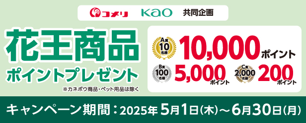 花王商品ポイントプレゼント