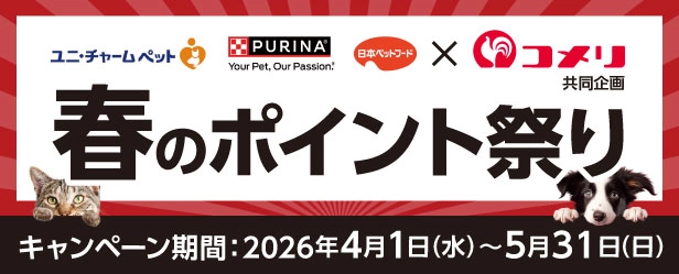 春のポイント祭り