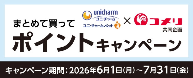 まとめて買ってポイントキャンペーン