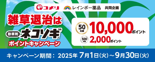 雑草退治は除草剤ネコソギポイントキャンペーン